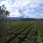 Casa Gabriele Bed & Breakfast