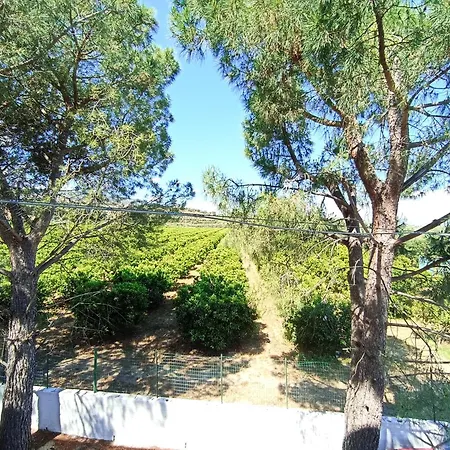 فندق مبيت وإفطار Casa Gabriele
