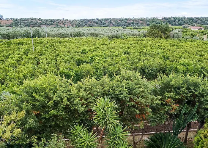 Casa Gabriele לינה וארוחת בוקר 3*