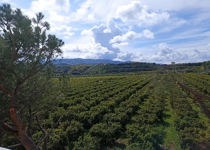 Casa Gabriele לינה וארוחת בוקר